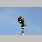 Hohenfelden 116.html